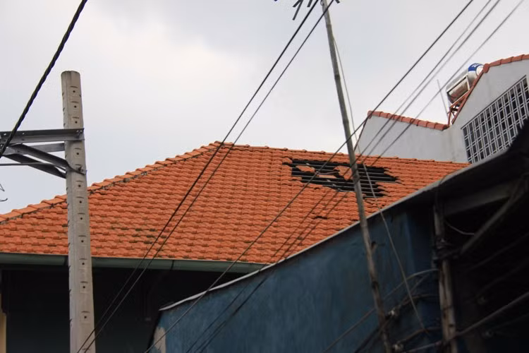 Ngay khi xảy ra vụ việc, đại diện UBND phường 5 quận Gò Vấp phối hợp cùng đại diện cảng vụ Hàng không Miền nam, Phòng an ninh an toàn Cảng hàng không Quốc tế Tân Sơn Nhất.... đến hiện trường ghi nhận vụ việc