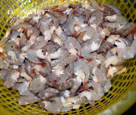 Ky cong Tet lam mam tom tru danh xu Dat Mui-Hinh-5