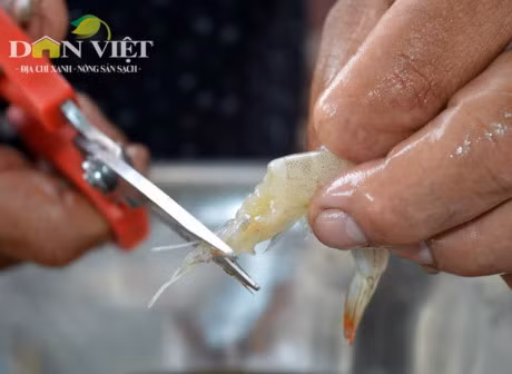 Ky cong Tet lam mam tom tru danh xu Dat Mui-Hinh-4