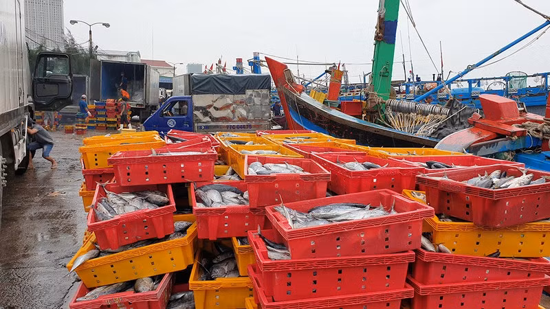 Binh Dinh: Chay tranh bao 2 tau ca bi chim, hang chuc nguoi mat tich