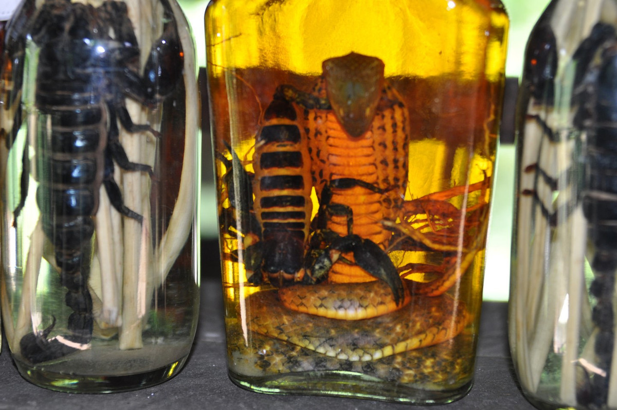  7. Làng rắn Lệ Mật, Hà Nội. "Đã bao giờ bạn uống rượu rắn chưa? Món rắn xào có ngon không? Nếu bạn thích những bữa ăn kỳ lạ, hãy đến làng Lệ Mật gần Hà Nội", Matthew Pike chia sẻ.