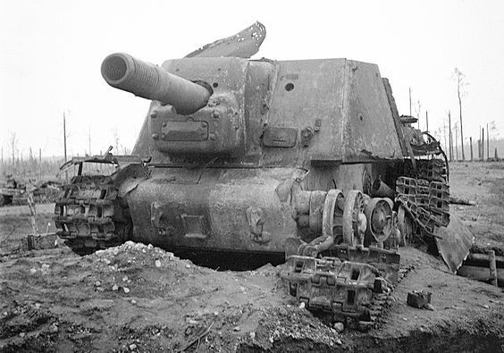 Trong trận Stalingrad nổi tiếng, tiểu đoàn chó chống tăng số 28 do thượng úy Anatoly Kunin chỉ huy đã tiêu diệt được 63 xe tăng và gần 100 xe bọc thép của quân đội của Đức Quốc xã, kèm theo khoảng 500 quân lính ngồi trong các phương diện này.