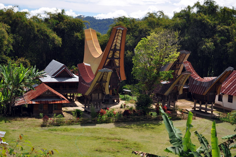 Nền văn hóa độc đáo cùng sự cuốn hút của những chiếc nhà sàn hình thuyền tongkonan đã khiến vùng đất của người Toraja trở thành một điểm đến thu hút khách du lịch quốc tế.