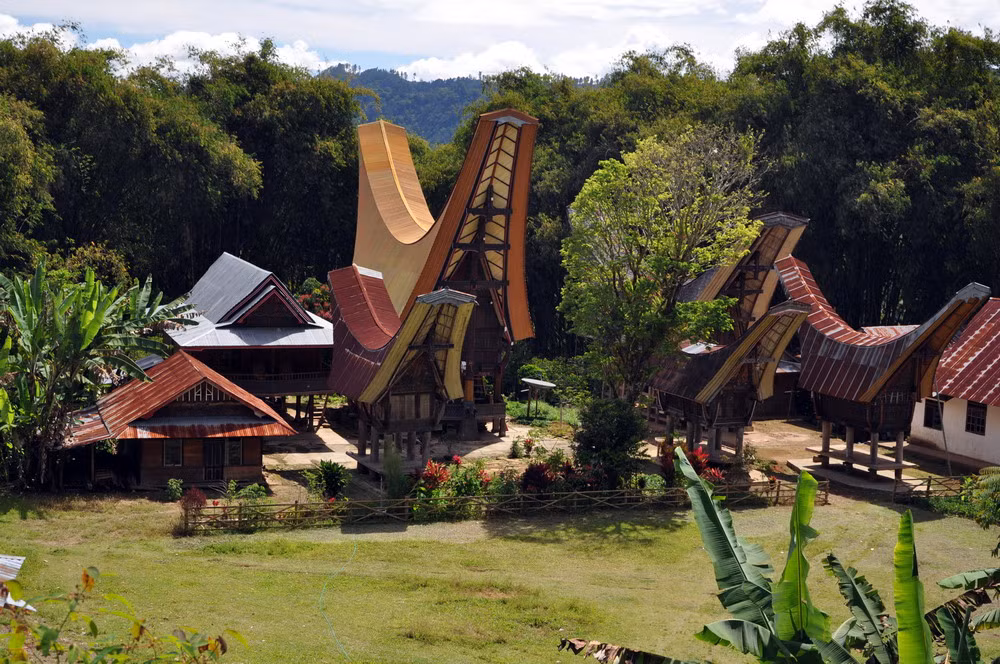 Nền văn hóa độc đáo cùng sự cuốn hút của những chiếc nhà sàn hình thuyền tongkonan đã khiến vùng đất của người Toraja trở thành một điểm đến thu hút khách du lịch quốc tế.