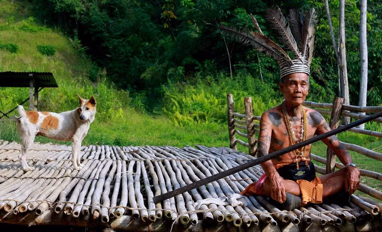 1. Nhiều nhà nghiên cứu cho rằng tộc người Dayak sống trên đảo Boerneo, là hậu duệ của người Việt cổ ở Indonesia. Tộc người này nổi tiếng với tục săn đầu người giữa các bộ tộc.