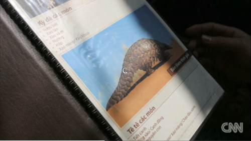 Thực đơn được tiếp viên giới thiệu đủ món tê tê với giá 350 USD/kg.