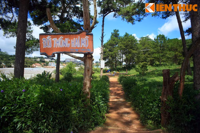 Đồi thông hai mộ là tên gọi của một địa danh đặc biệt nằm bên bờ hồ Than Thở của TP Đà Lạt.