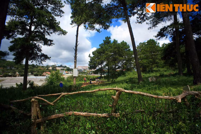 Cảm động trước chuyện tình của hai người, nhạc sĩ Hồng Vân đã sáng tác bài hát Đồi thông hai mộ với giai điệu buồn da diết. Hơn nửa thế kỷ đã trôi qua, dư âm của một cuộc tình tột cùng đau đớn dường như vẫn còn phảng phất phía sau khung cảnh u buồn của đồi thông hai mộ...