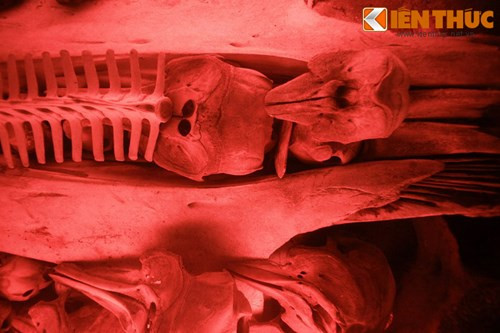 Hai bên bàn thờ chính là các bàn Đông Hiến, Tây Hiến, cũng thờ các bộ xương cá Ông về sau này.