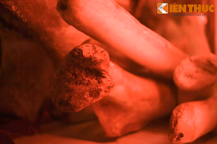 Tục này hình thành nhằm cầu an cho các ngư thuyền ra khơi đánh cá và mong được mẻ cá lớn.