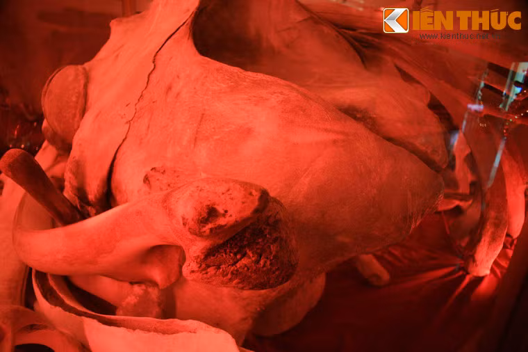 Bàn thờ trung tâm là nơi đặt một bộ xương cá Ông dài khoảng 18m.