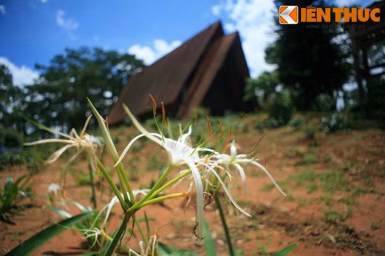 Ðể chịu đựng được sức nặng của toàn bộ công trình, nền móng đã được gia cố hết sức kỹ lưỡng trong vòng nửa năm.