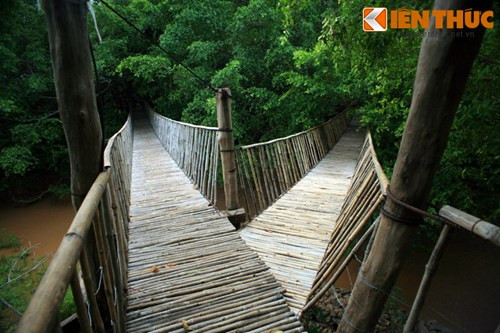 Tổng chiều dài của cầu khoảng chừng 1 km, với nhiều phân đoạn gắn kết hài hòa.