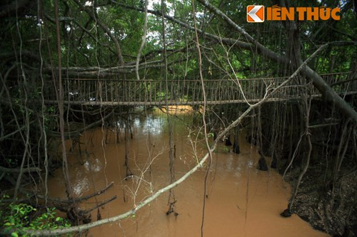 Cầu treo Buôn Đôn bắt đầu được khởi công xây dựng vào cuối năm 1998, đến đầu năm 1999 thì hoàn thành.