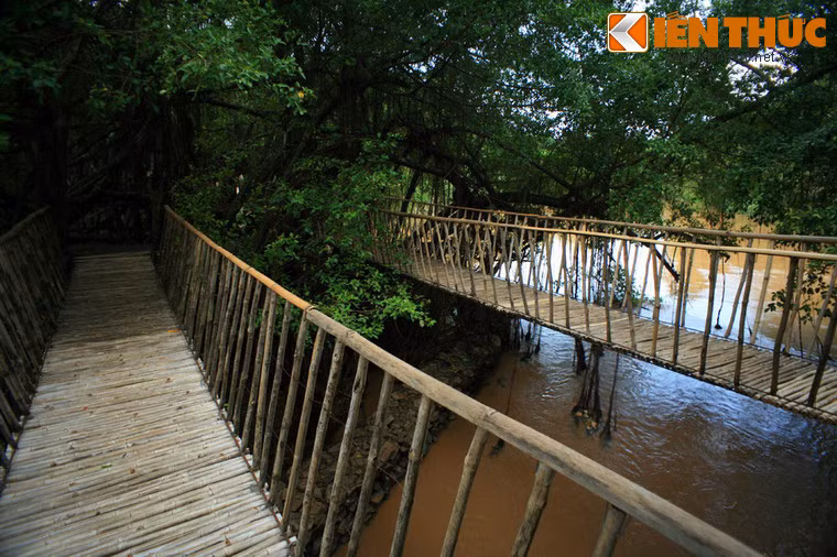 Đây là một hệ thống cầu được làm bằng vật liệu tre, nứa, song, mây theo kiểu cầu treo truyền thống Tây Nguyên, có gia cố thêm cáp sắt để tăng sức chịu tải và độ bền.