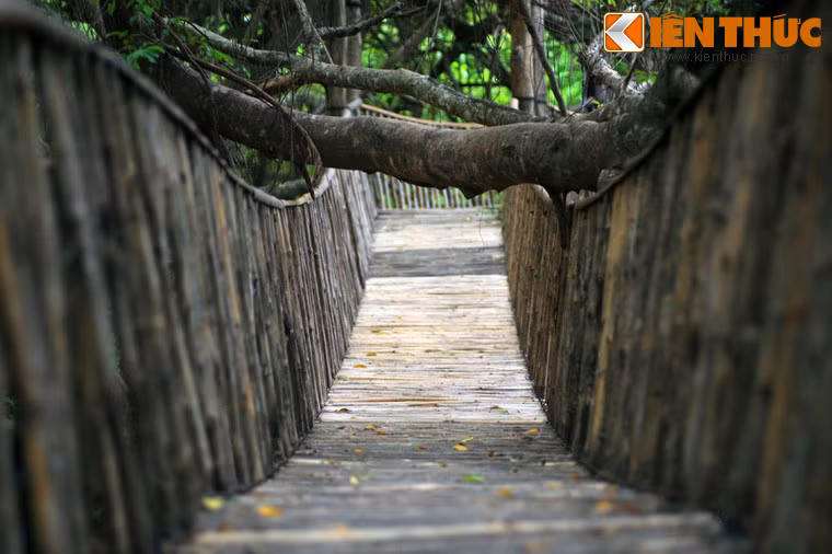 Dù mới chỉ có tuổi đời chưa đến 2 thập kỷ nhưng chiếc cầu treo này đã trở thành một biểu tượng nổi tiếng của Buôn Đôn.