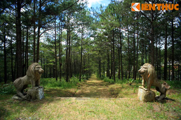 Cặp sư tử đá kiểu phương Tây trấn giữ lối vào lăng mộ.