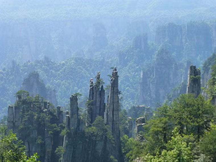 Những cánh rừng nguyên sinh càng tô điểm cho vẻ huyền bí của núi Thiên Tử.