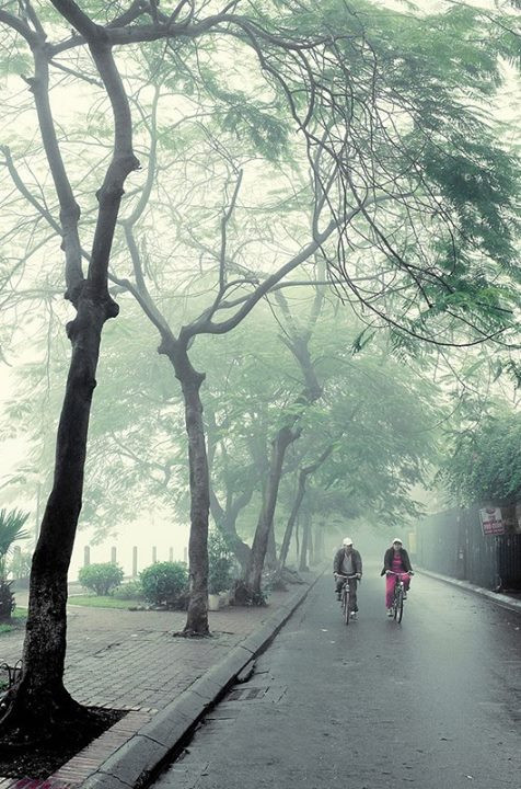 Mùa đông năm nay đến muộn, người Hà Nội mới chỉ cảm nhận cái lạnh trong vài ngày nay. Nhưng trên các nẻo đường, cảnh sắc mùa đông đã bao trùm thu hút con mắt nhìn, cảm nhận của các bạn trẻ, nhiếp ảnh gia. Ảnh: Sunny August.