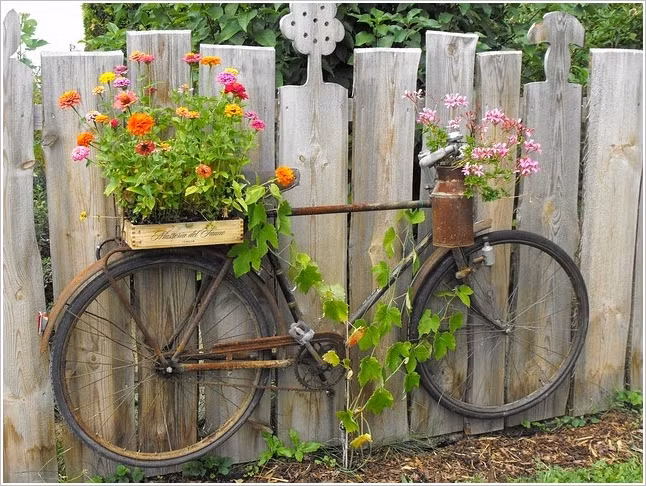 Những chiếc xe đạp cũ cũng rất hữu ích trong việc trang trí nhà đẹp với hoa.