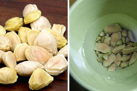 6. Hạt bưởi tươi: Dùng 100g hạt bưởi tươi để cả vỏ cứng cho vào cốc đổ 200ml nước sôi, đậy kín, ủ trong 2-3 giờ, ta sẽ được một cốc nước đặc sánh trong như bột sắn do hạt bưởi tiết ra. Gạn lấy nước, bỏ hạt uống sau bữa ăn 2 tiếng. Mỗi ngày uống một lần. Ảnh: thanyviet.vn.