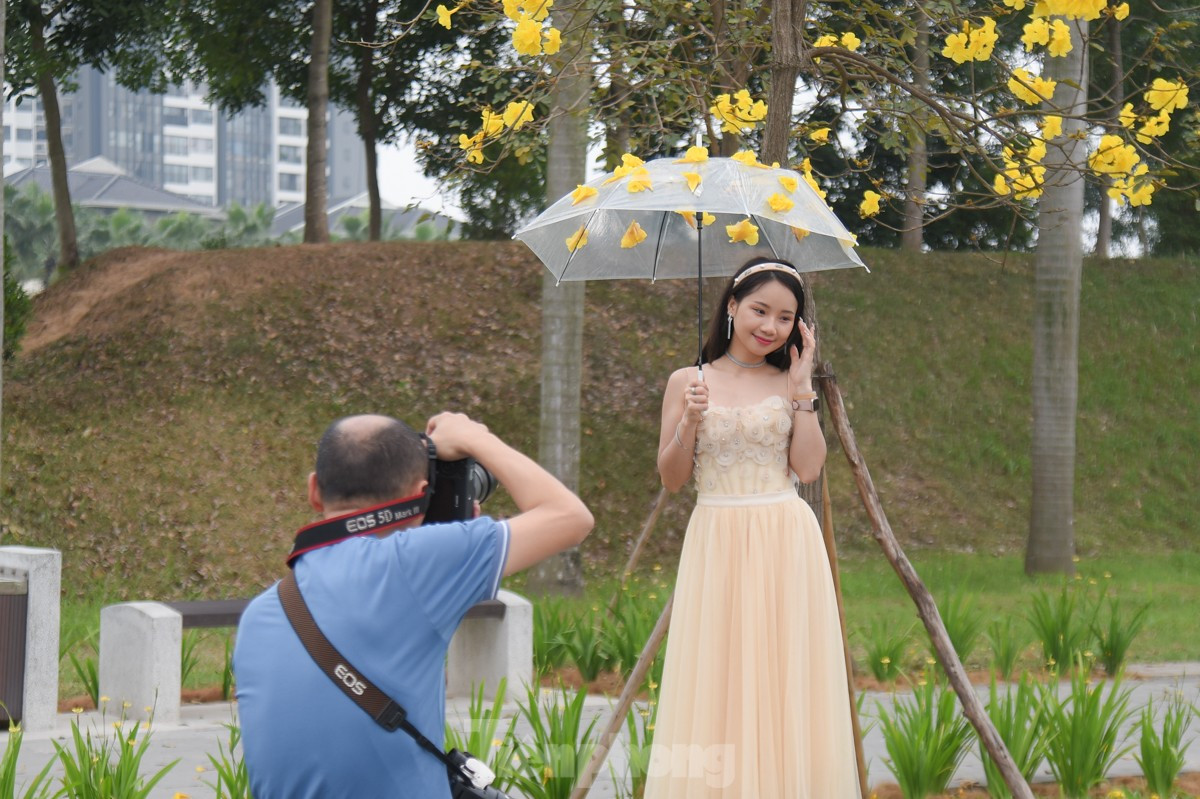 Ruc ro sac vang duong hoa phong linh tai Ha Noi-Hinh-8