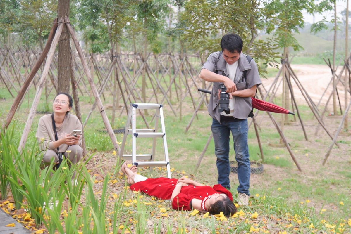 Ruc ro sac vang duong hoa phong linh tai Ha Noi-Hinh-11