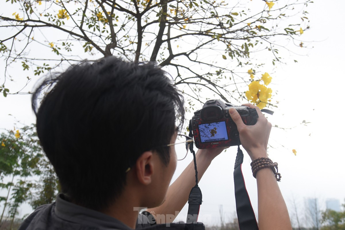 Ruc ro sac vang duong hoa phong linh tai Ha Noi-Hinh-13