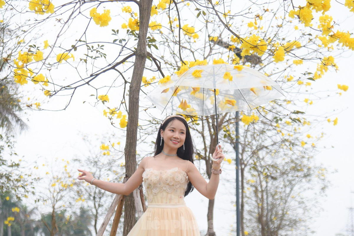 Ruc ro sac vang duong hoa phong linh tai Ha Noi-Hinh-9