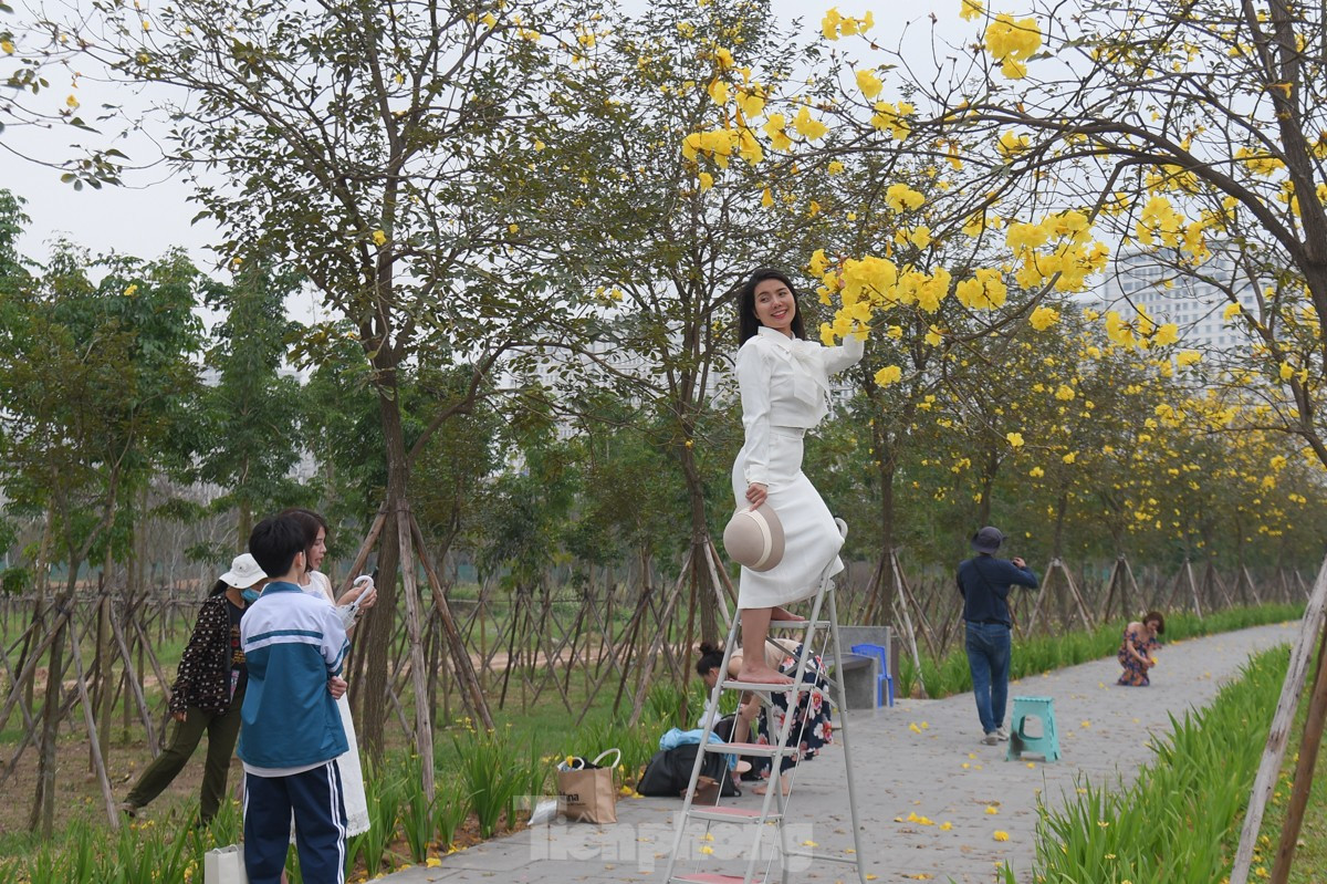 Ruc ro sac vang duong hoa phong linh tai Ha Noi-Hinh-12