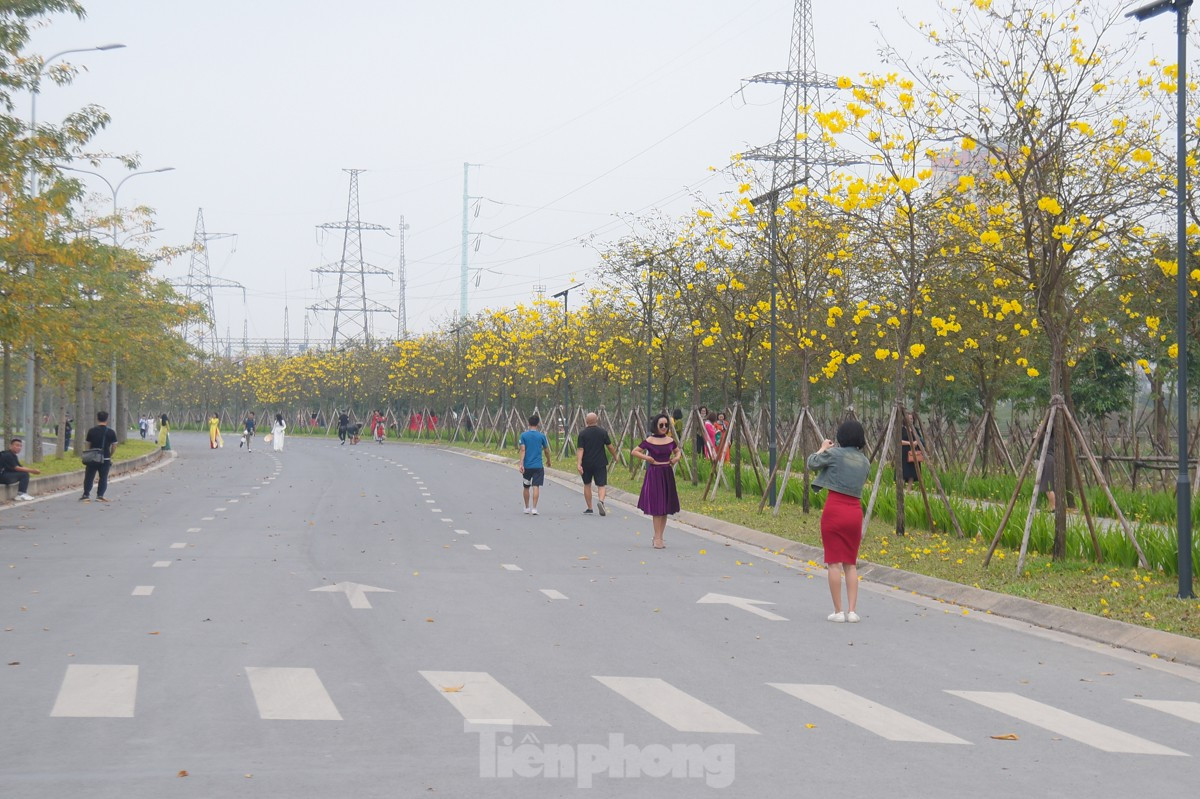 Ruc ro sac vang duong hoa phong linh tai Ha Noi-Hinh-2