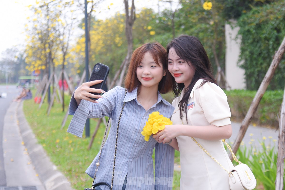 Ruc ro sac vang duong hoa phong linh tai Ha Noi-Hinh-5