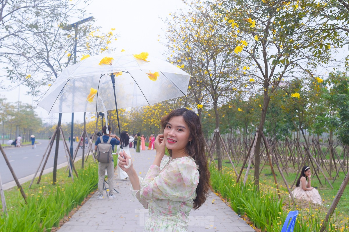 Ruc ro sac vang duong hoa phong linh tai Ha Noi-Hinh-10