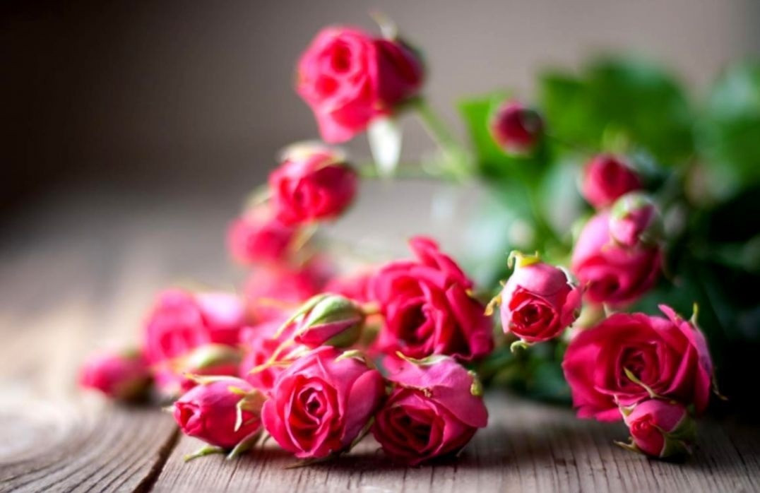 3 con giáp đầu óc cực kỳ linh hoạt, sự nghiệp thăng tiến - Hình 2 3 con giap dau oc cuc ky linh hoat, su nghiep thang tien-Hinh-2