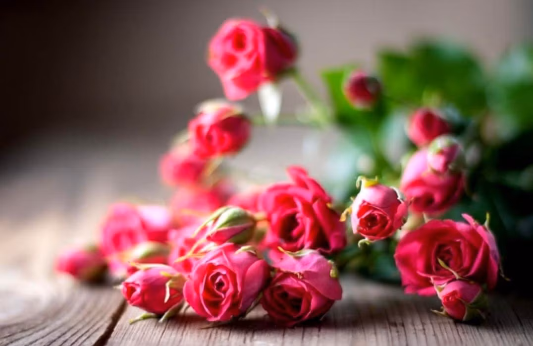 3 con giap dau oc cuc ky linh hoat, su nghiep thang tien-Hinh-2