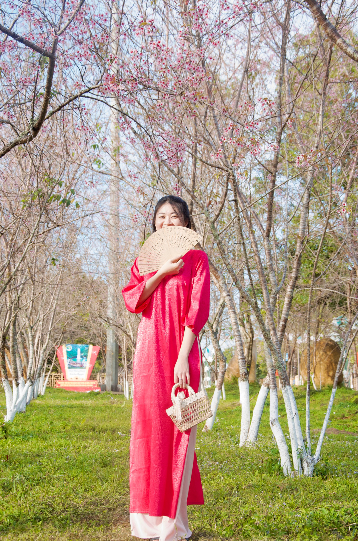 Bạn trẻ tranh thủ cùng bạn bè tới Măng Đen chụp ảnh áo dài bên hoa đào.