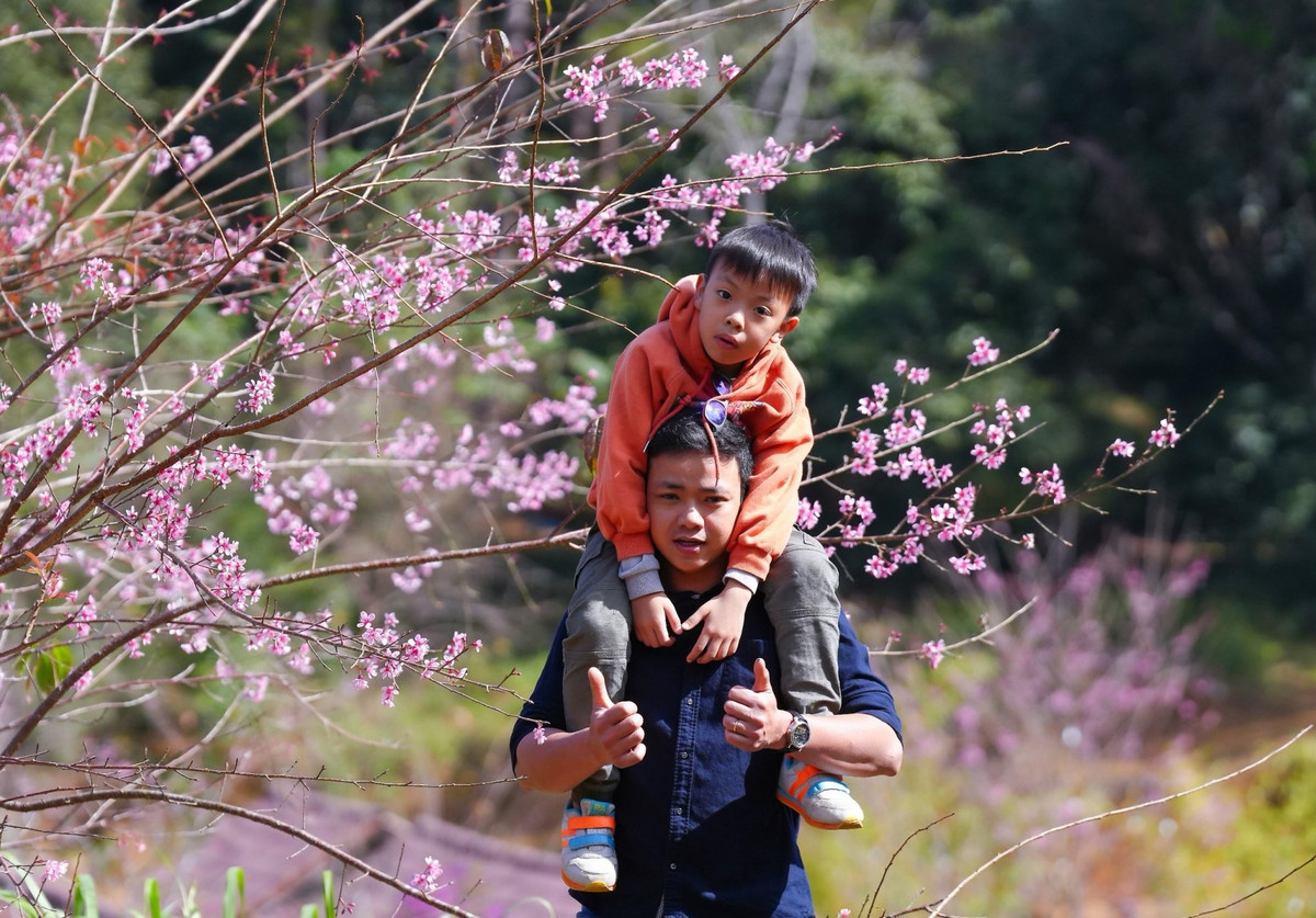 Dịp cuối tuần, không chỉ có trai xinh, gái đẹp, nhiều gia đình cũng lựa chọn địa điểm này để lưu giữ những kỷ niệm bên sắc hồng của hoa mai anh đào.