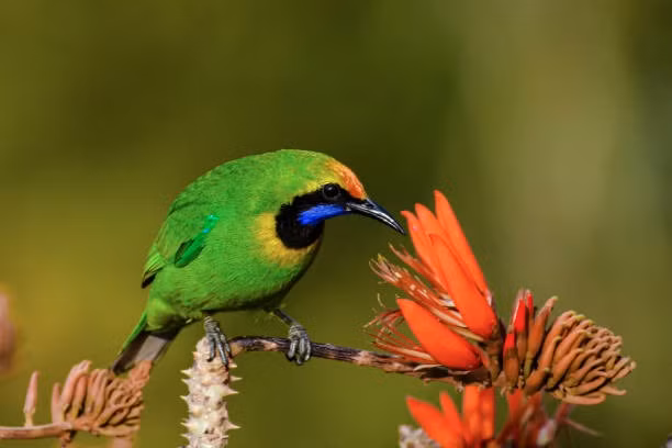 4 con giap se phat tai phat loc trong thang 3 nay-Hinh-2