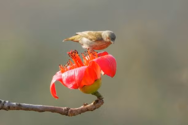 4 con giap se phat tai phat loc trong thang 3 nay-Hinh-3