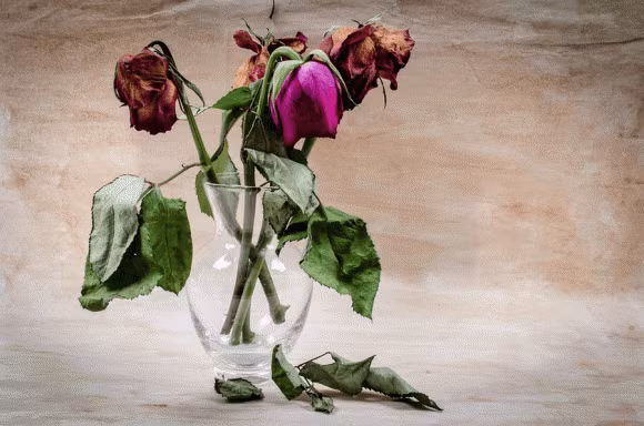 Sau Tet, 3 thu tren ban tho phai ha gap de tranh xui rui