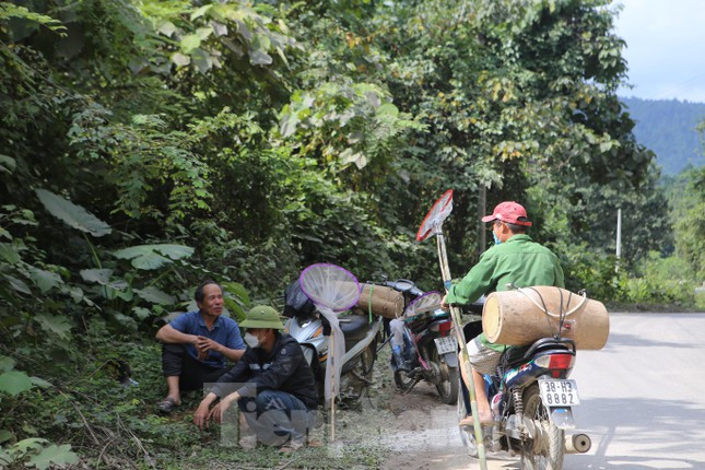 Khoảng 2 tháng nay, hàng trăm “thợ săn” ong ở miền núi Hà Tĩnh chạy xe máy lên các con suối, khu rừng để săn ong. Dụng cụ mang theo là những chiếc vợt tự chế bằng màn, tổ và ít nước, thức ăn dự trữ.