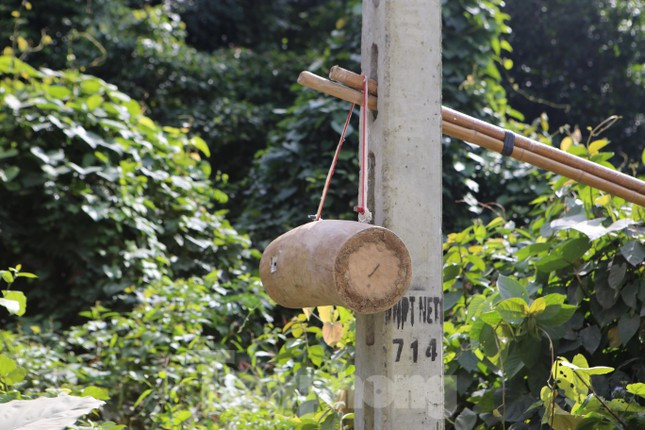 Hiện nay, bình quân 1 đàn ong có giá 300.000 đồng đến 500.000 đồng.