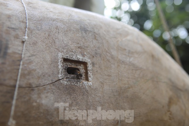 Việc bắt ong chủ yếu phải bắt được ong đầu đàn, hay gọi là ong sứ. Để bắt được ong sứ, các thợ săn phải căng tai, dõi mắt để tìm và nghe tiếng bay của ong.