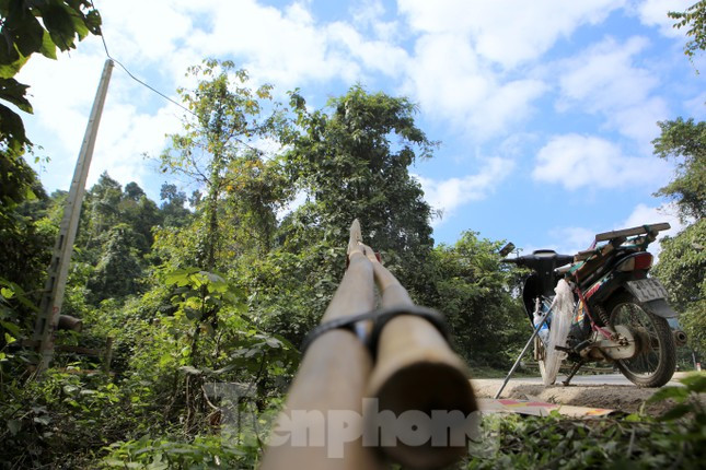 Chiếc sào dùng để gắn vợt vào bắt ong sứ.