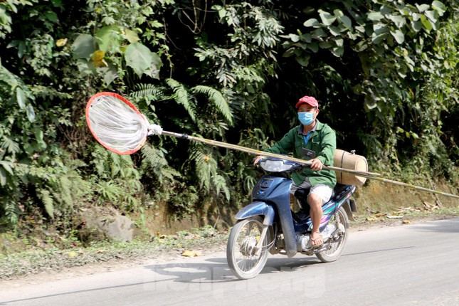Dọc con đường lên tại các xã vùng biên như Sơn Hồng, Sơn Kim 1, Sơn Kim 2 người dân tập trung rất đông, theo từng tốp để bắt ong.