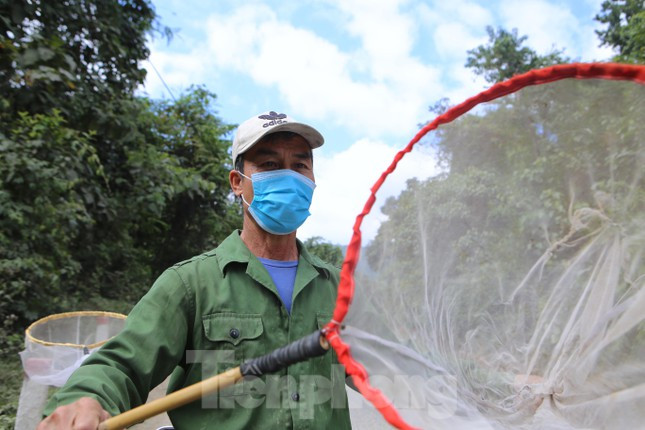 Theo các thợ săn, từ tháng 9 bắt đầu se lạnh, đây là lúc những đàn ong mật sống tự nhiên trong rừng sâu bắt đầu quá trình di cư tìm chỗ trú đông, tránh rét vào mùa Đông. Vào thời gian này, người dân cũng tập trung đi săn ong rất nhiều.