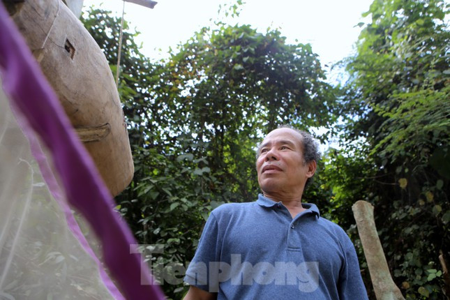 Ông Trần Văn Thanh (72 tuổi, trú thị trấn Tây Sơn, huyện Hương Sơn) cho biết, sau khi cho ong sứ vào tổ mồi đã treo sẵn, nó sẽ thám thính trong ống mồi, nếu thấy đây là nơi phù hợp để xây tổ, trú ẩn thì ong sứ sẽ bay đi gọi đàn.