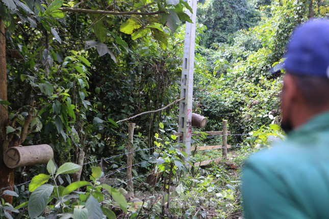 Việc tìm chỗ trú đông sẽ được giao cho con ong khoẻ mạnh nhất trong đàn, được gọi là ong sứ hoặc ong thăm. Những con ong này thường đi tìm các lỗ đúc sẵn trên cột điện hay thân cây cổ thụ ở rừng sâu, ven bờ suối để đưa cả đàn về chỗ trú vào mùa lạnh.