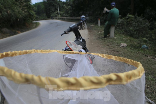 Săn ong rừng là nghề rất độc đáo, làm nhẹ nhàng nhưng thu nhập tương đối cao. Có những mùa mỗi thợ săn kiếm được 17-20 tổ ong.