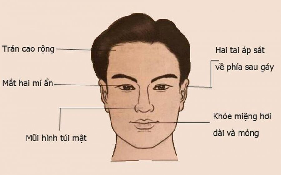 Dan ong so huu 5 net tuong nay: Tai nang thien bam hon nguoi-Hinh-2